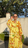 Robe fleurie jaune